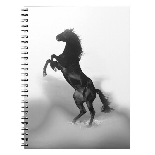 Carnet Cheval blanc noir (Devant)