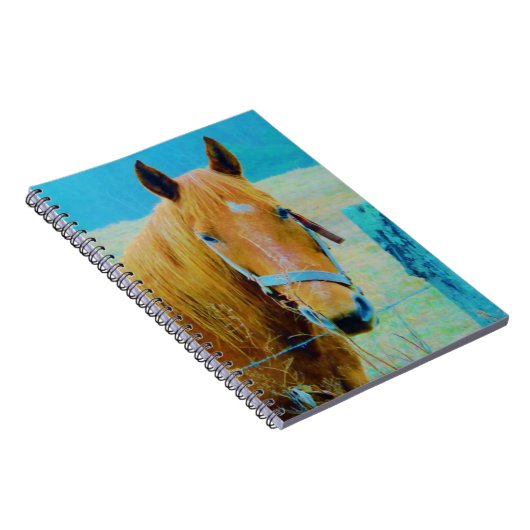 Carnet Cheval bleu Denim teinté (Côté Droit)