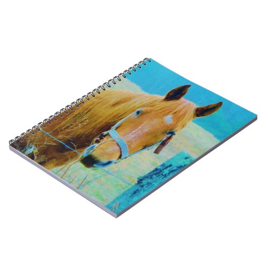 Carnet Cheval bleu Denim teinté (Côté gauche)