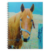 Carnet Cheval bleu Denim teinté (Devant)