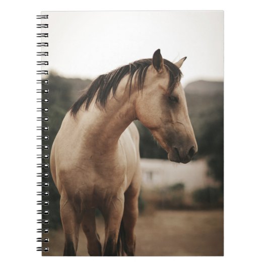 CARNET CHEVAL BROWN (Devant)
