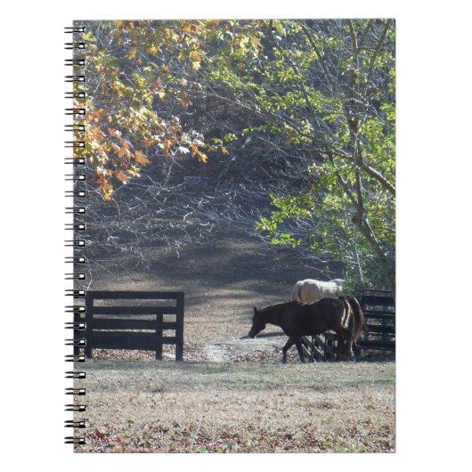 Carnet Cheval Brown à pied à travers la clôture (Devant)