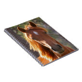 Carnet Cheval Brown au soleil (Côté Droit)