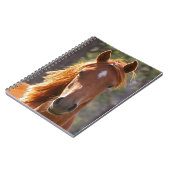 Carnet Cheval Brown au soleil (Côté gauche)