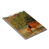 Carnet Cheval Brown aux pins (Côté Droit)