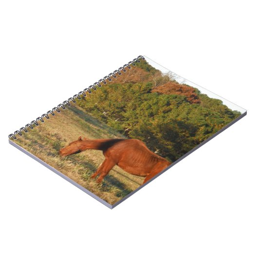 Carnet Cheval Brown aux pins (Côté gauche)