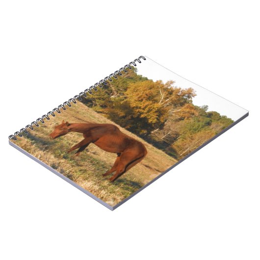 Carnet Cheval Brown dans le champ d'arbre jaune (Côté gauche)