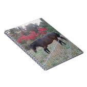 Carnet Cheval Brown dans les arbres d'automne rouges (Côté Droit)