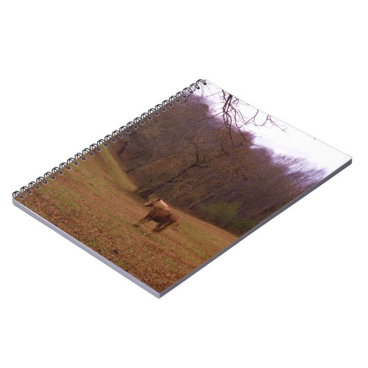 Carnet Cheval Brown et blond dans un champ (Côté gauche)