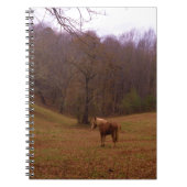 Carnet Cheval Brown et blond dans un champ (Devant)