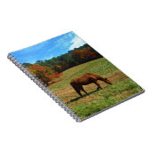 Carnet Cheval Brown rouge, arbres de chute, ciel bleu (Côté Droit)