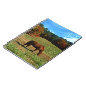 Carnet Cheval Brown rouge, arbres de chute, ciel bleu (Côté gauche)