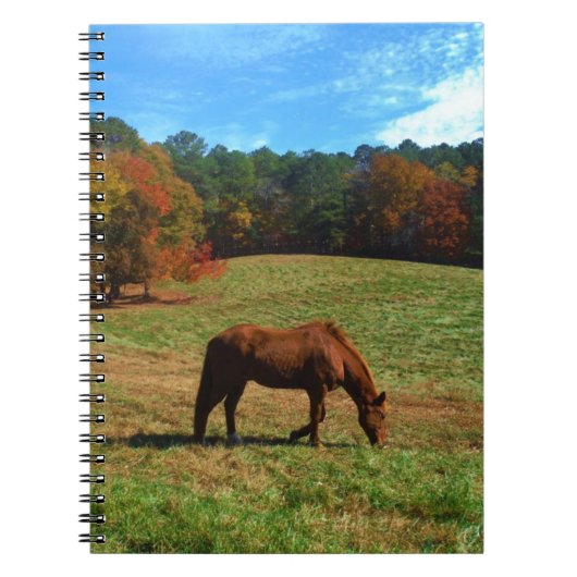 Carnet Cheval Brown rouge, arbres de chute, ciel bleu (Devant)