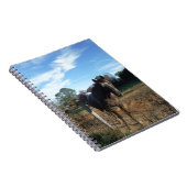 Carnet Cheval brun Coco et Crème (Côté Droit)