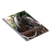 Carnet Cheval Buggy Bay Pinto Amish (Côté Droit)
