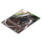 Carnet Cheval Buggy Bay Pinto Amish (Côté gauche)