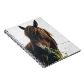 CARNET CHEVAL CHEWING GRASS (Côté Droit)