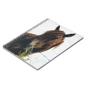 CARNET CHEVAL CHEWING GRASS (Côté gauche)