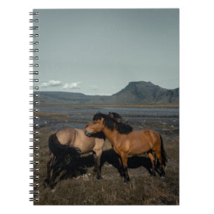 CARNET CHEVAL COUPLE