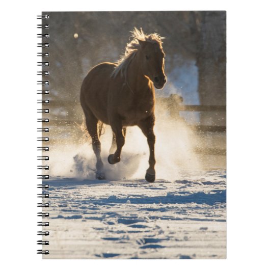 Carnet Cheval courant dans la neige (Devant)