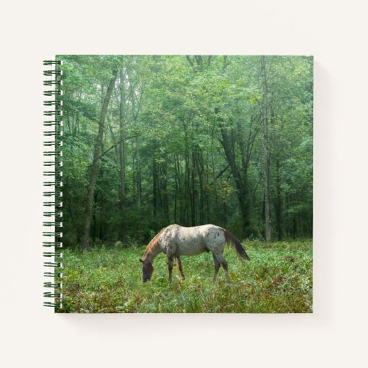 Carnet Cheval dans le pré (Devant)