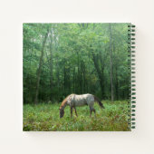 Carnet Cheval dans le pré (Dos)