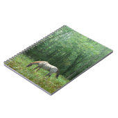 Carnet Cheval dans le pré (Côté gauche)