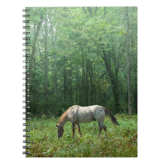 Carnet Cheval dans le pré (Devant)