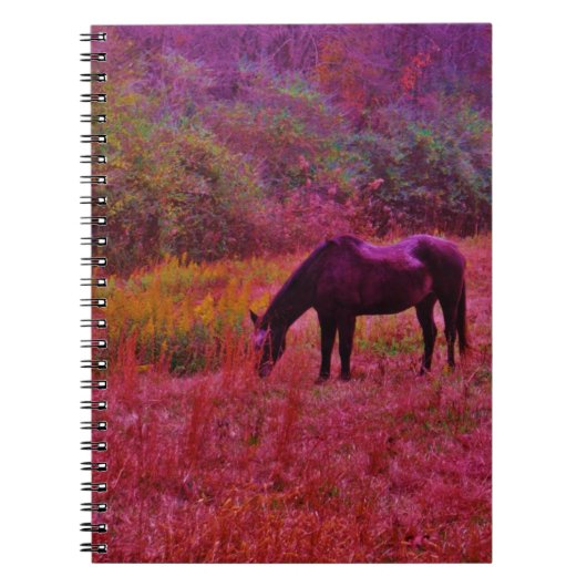 Carnet Cheval dans un champ de couleur Kaleidoscope (Devant)