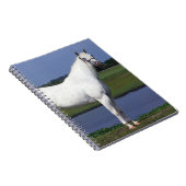 Carnet Cheval d'Appaloosa (Côté Droit)