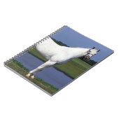 Carnet Cheval d'Appaloosa (Côté gauche)