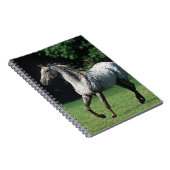 Carnet Cheval d'Appaloosa courant 2 (Côté Droit)