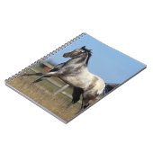 Carnet Cheval d'Appaloosa courant 3 (Côté gauche)