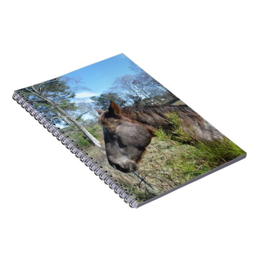 Carnet Cheval de couleur Coco et Crème (Côté Droit)