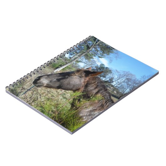 Carnet Cheval de couleur Coco et Crème (Côté gauche)