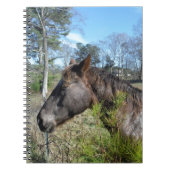 Carnet Cheval de couleur Coco et Crème (Devant)