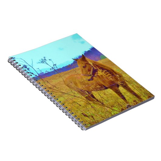 Carnet Cheval de couleur rétro (Côté Droit)