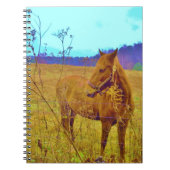 Carnet Cheval de couleur rétro (Devant)