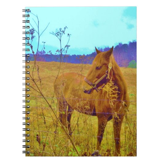 Carnet Cheval de couleur rétro (Devant)