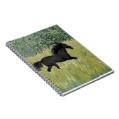 Carnet cheval de course peint (Côté Droit)