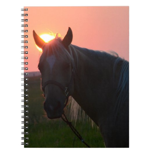 Carnet Cheval de lever de soleil (Devant)