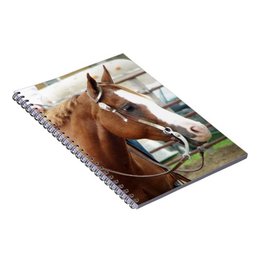 Carnet Cheval de l'Ouest (Côté Droit)