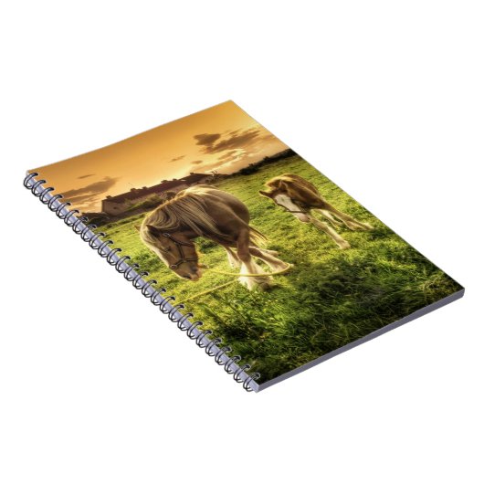 Carnet Cheval de mère et de poulain (Côté Droit)