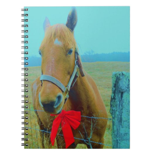 Carnet Cheval de Noël rétro (Devant)