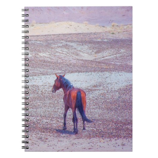 Carnet Cheval du désert P8640 (Devant)