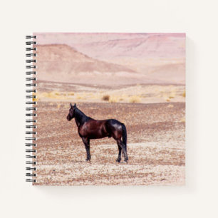 Carnet Cheval du désert P8664