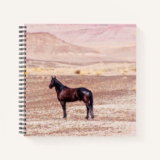 Carnet Cheval du désert P8664 (Devant)