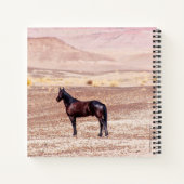 Carnet Cheval du désert P8664 (Dos)