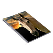 Carnet Cheval du soleil (Côté Droit)