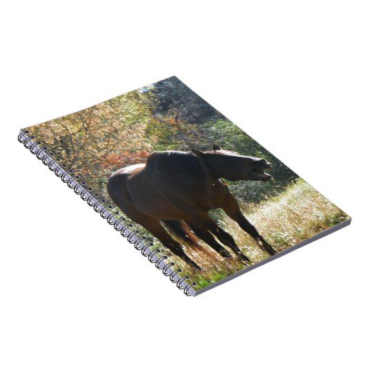 Carnet Cheval en automne (Côté Droit)